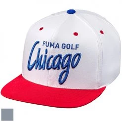 Puma City Golf Cap