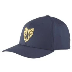 Puma ROAR Snapback Cap