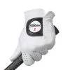 Titleist 2014 Players Gloves 2 Titleist 2014 Players Gloves -Fairway Golf Sale TIT12000341 341
